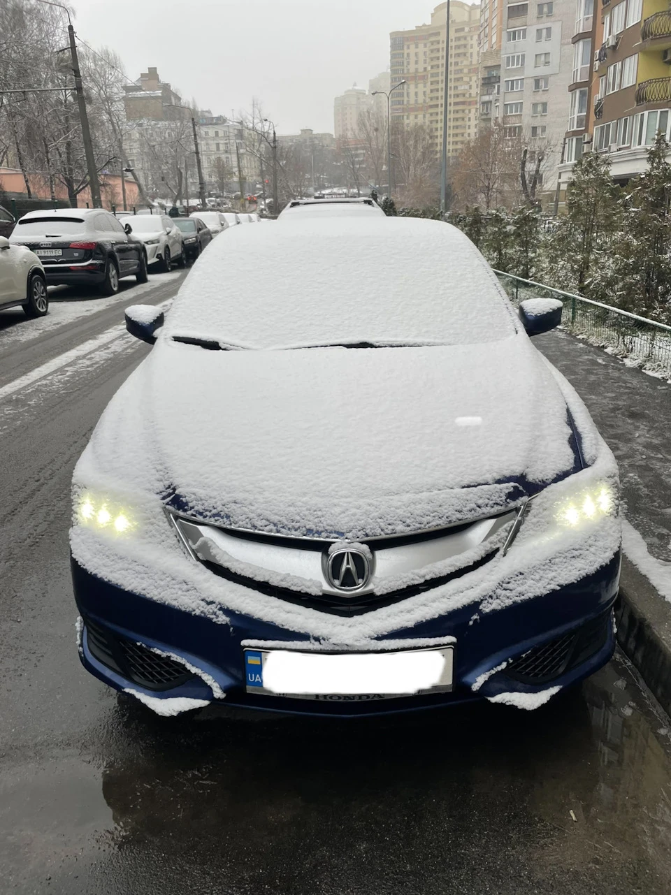 Припорошило
