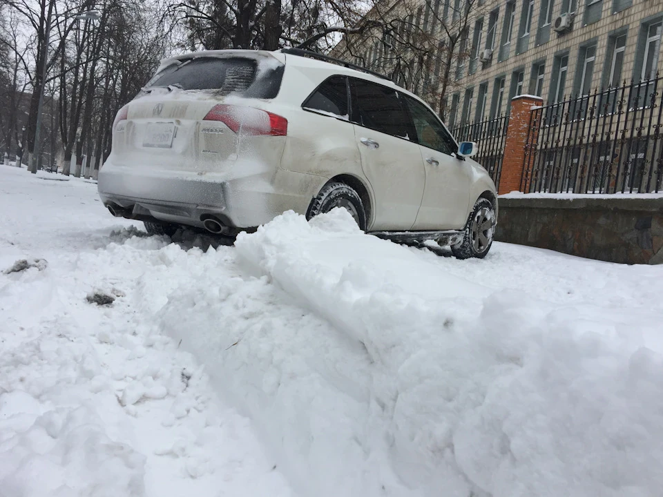 Снігові покотушки