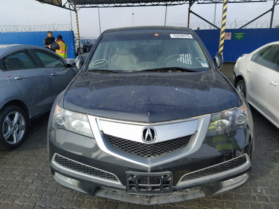 Авто прибуло до порту Одеса 1