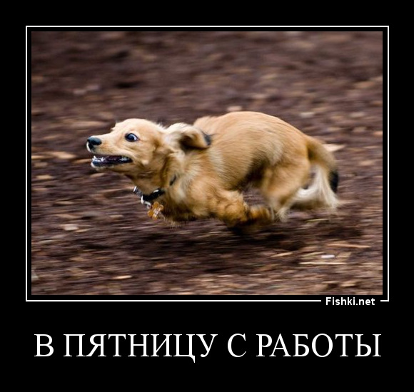 Куплю ДИСКИ r18. 1