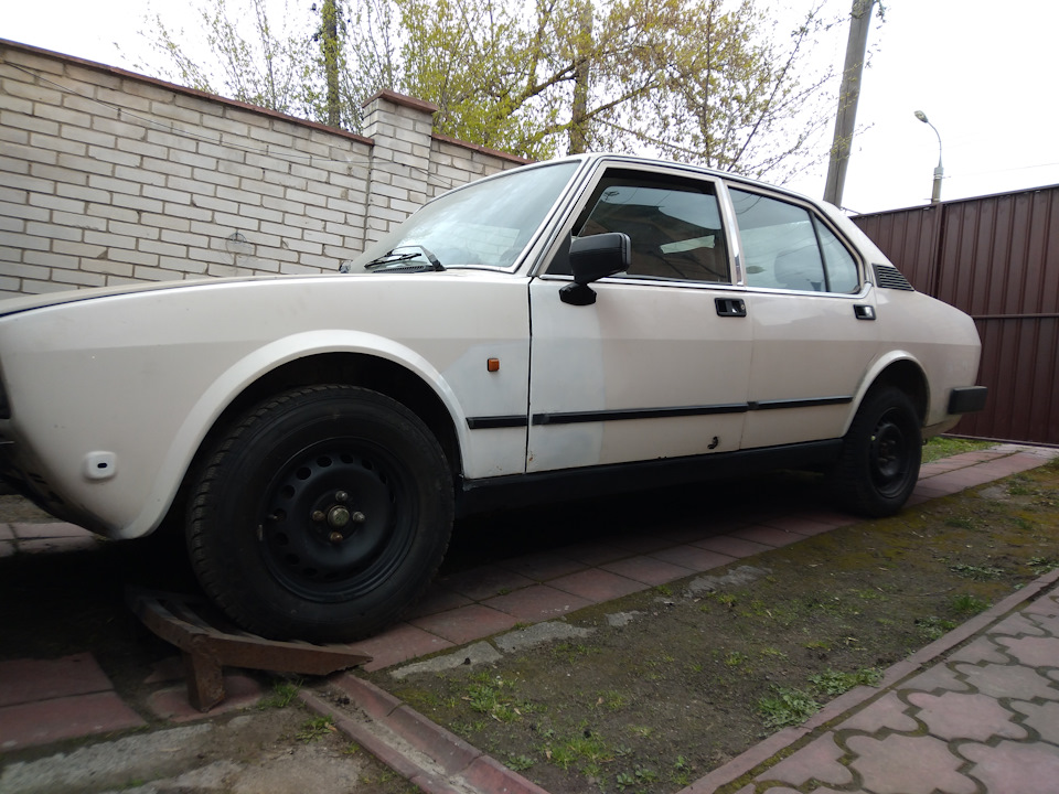 Alfetta e primavera 2