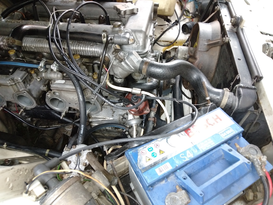 Alfetta e primavera 3