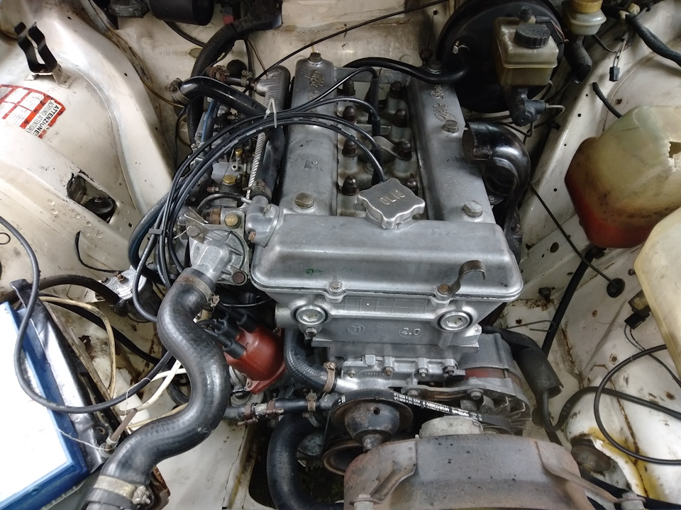 Alfetta e primavera 1