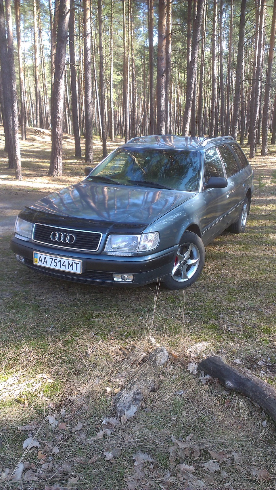 Нові фото моєї мишки 4