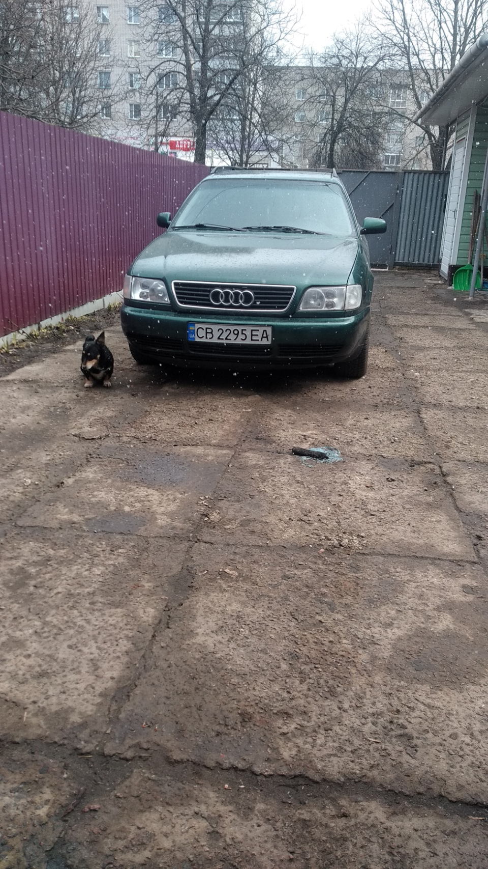 Покупка іншої Audi 2