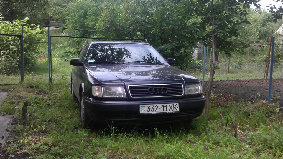 Трохи фотографій. 2