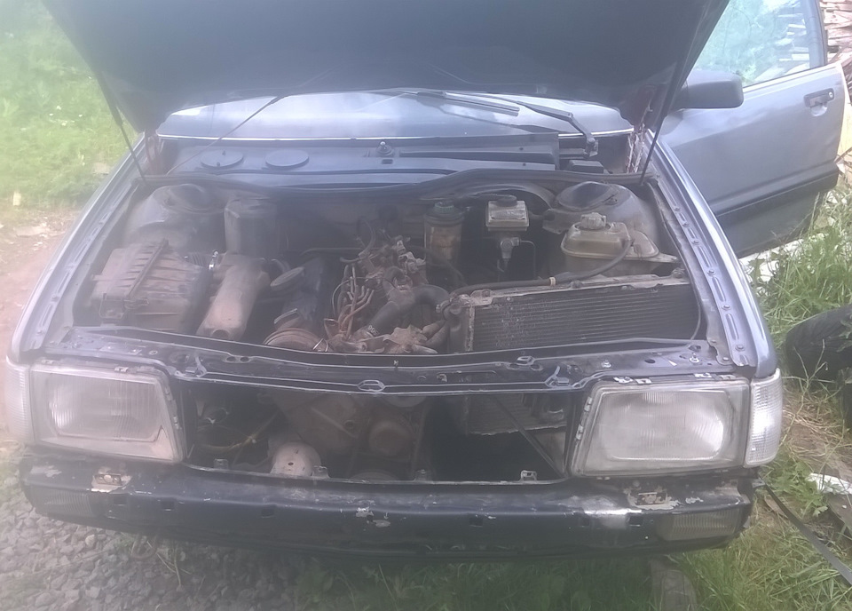 She's alive! 3