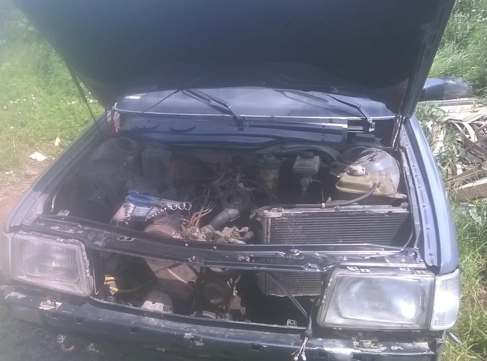 She's alive! 1