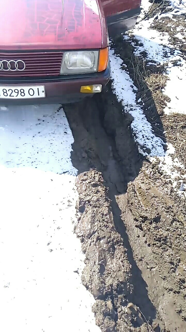 Кватро-сила! 4