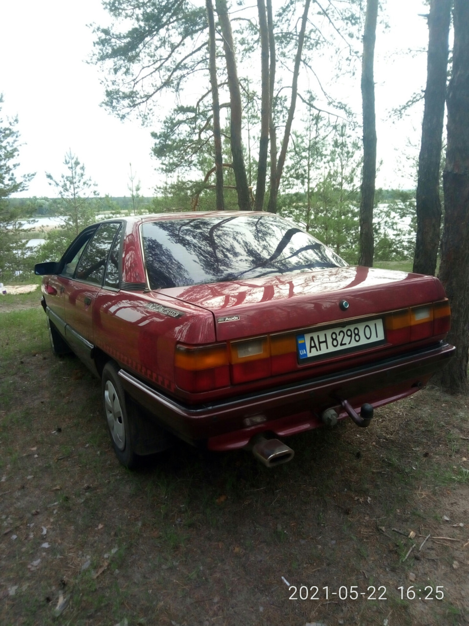 Вилазка до лісу 4