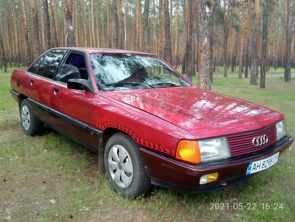 Вилазка до лісу
