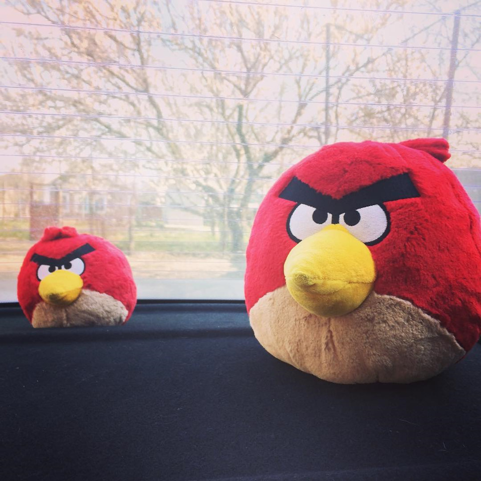 Тепер їх двоє, або Angry Birds на варті автомобіля 1