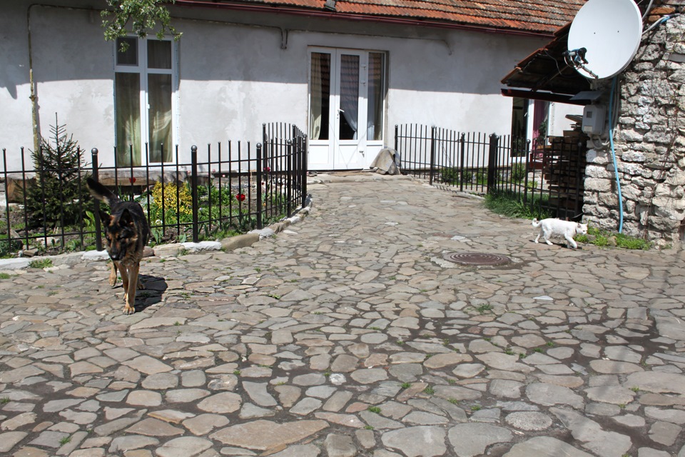 Домкратне гніздо. 2