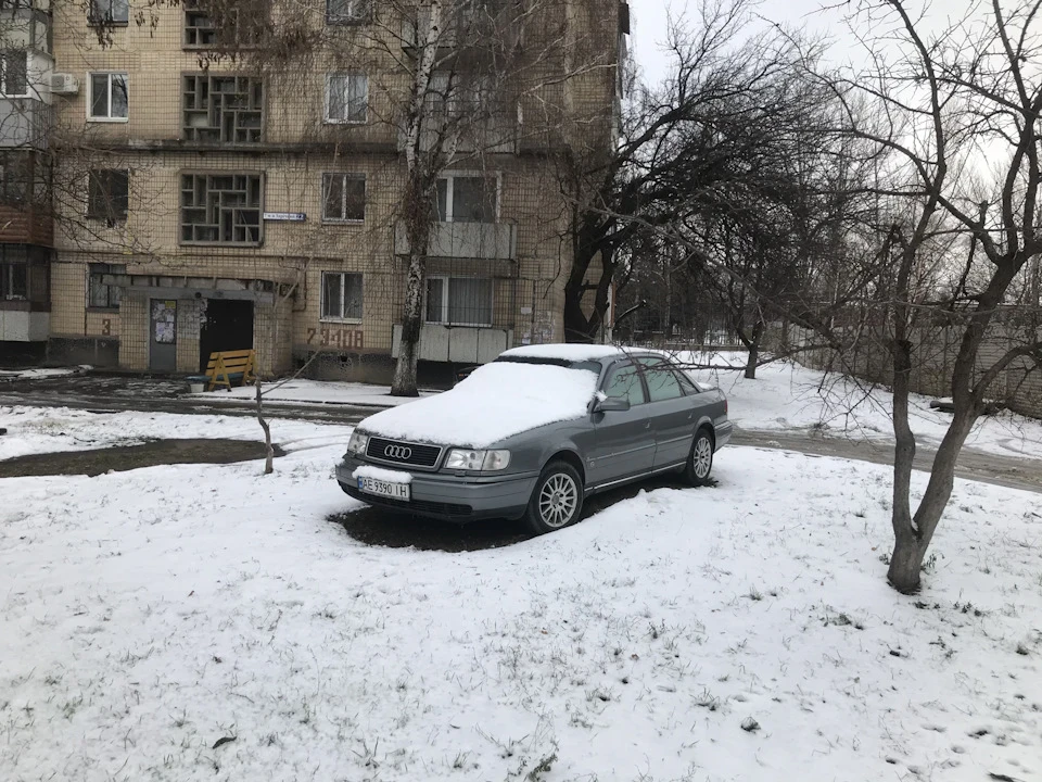Перший сніг