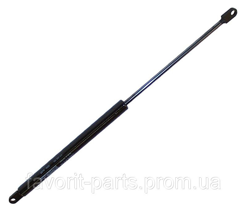 місця встановлення газових упорів капота? 1