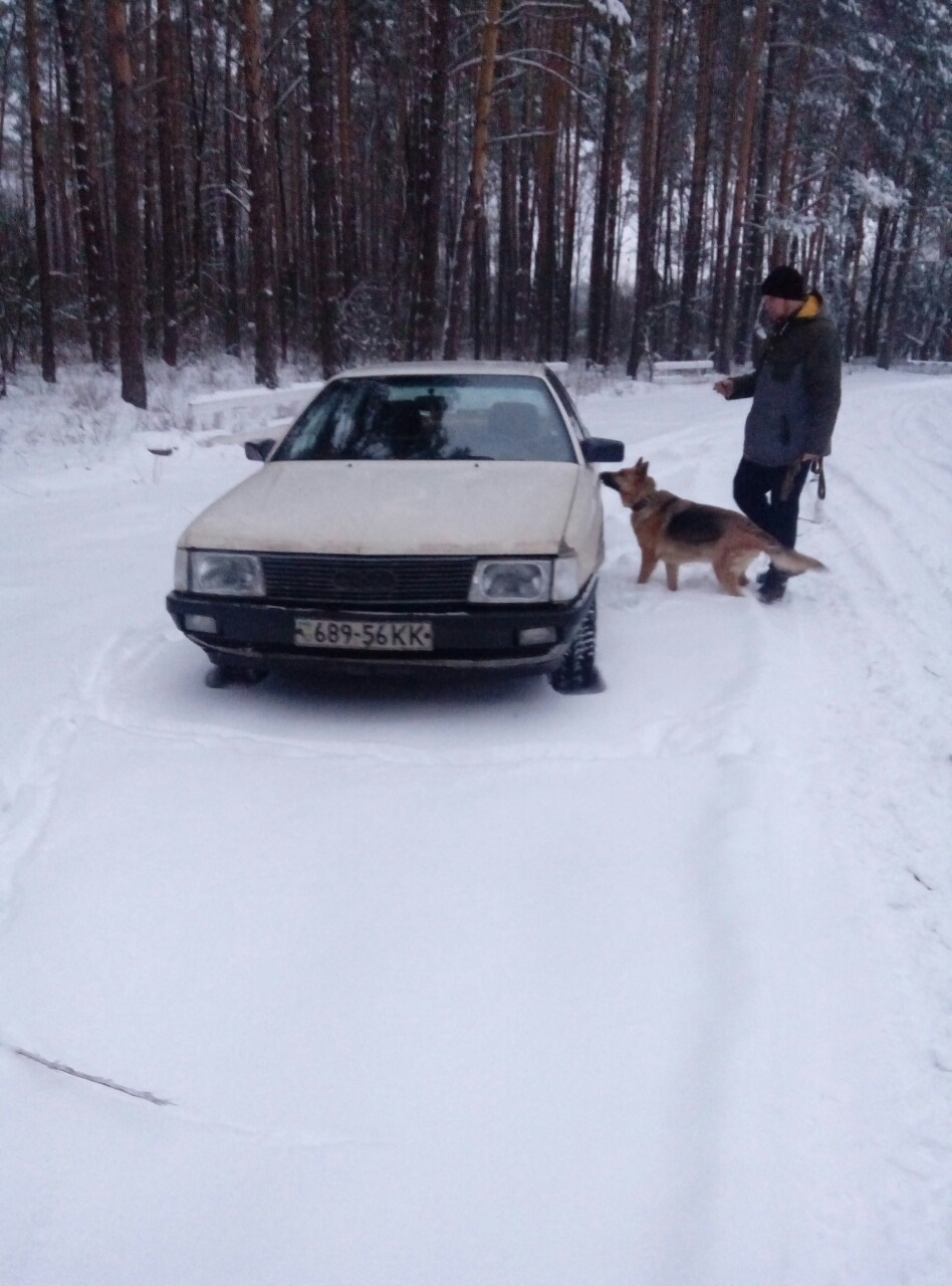 В очікуванні весни) 3