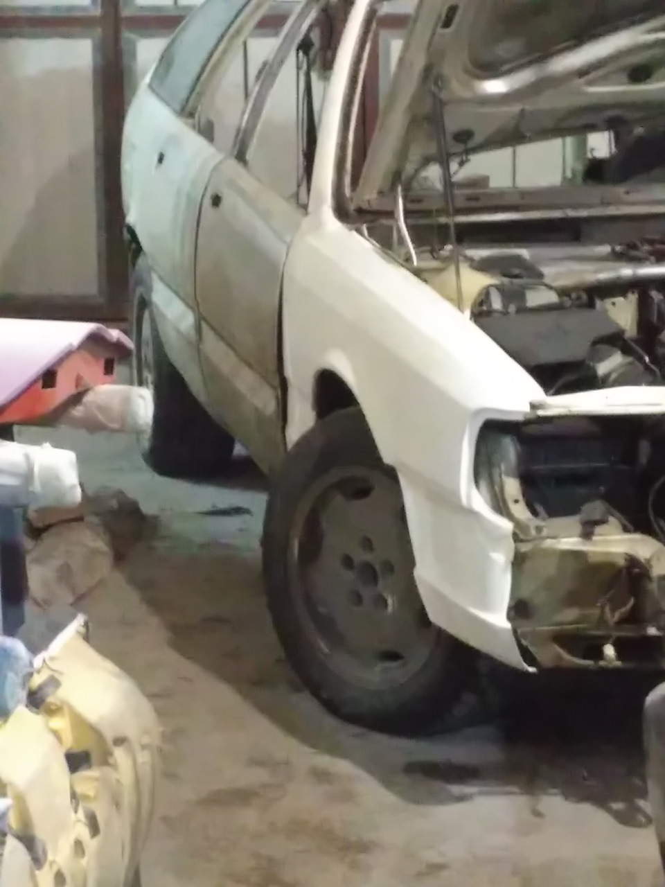 Віддав у добрі руки 2