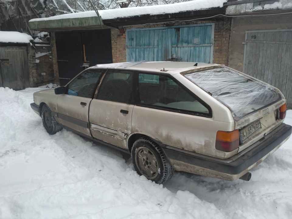 Віддав у добрі руки 3