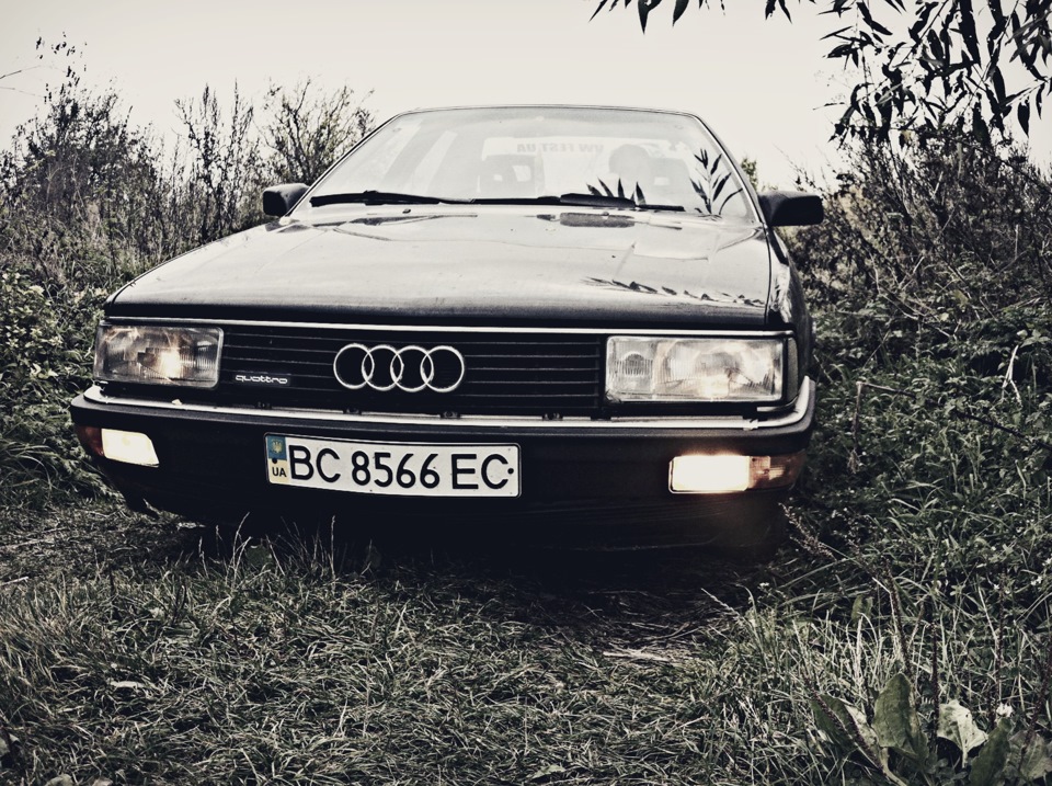 Old Gold 3