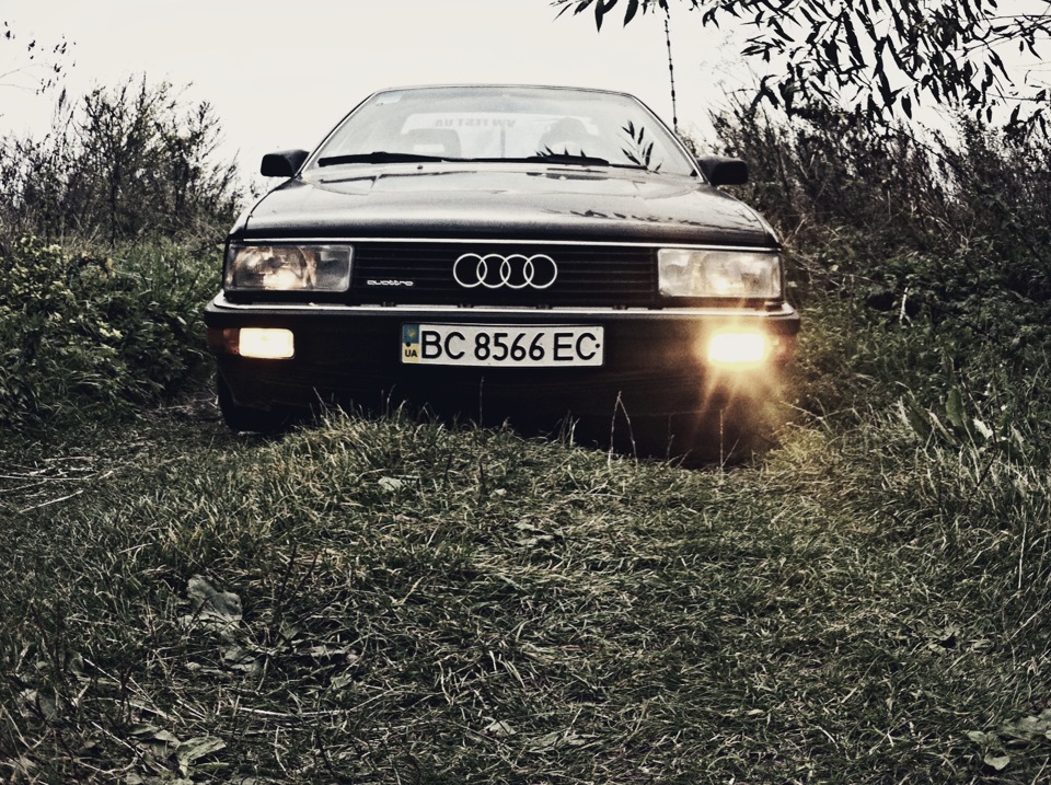 Old Gold 2