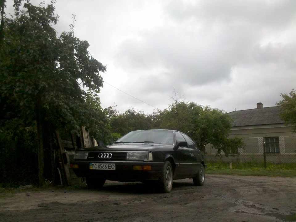Old Gold 1