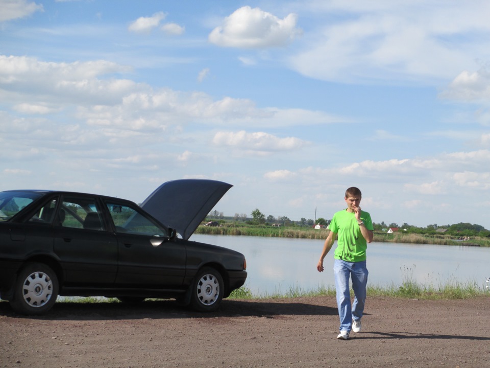 Помили ластівку 1