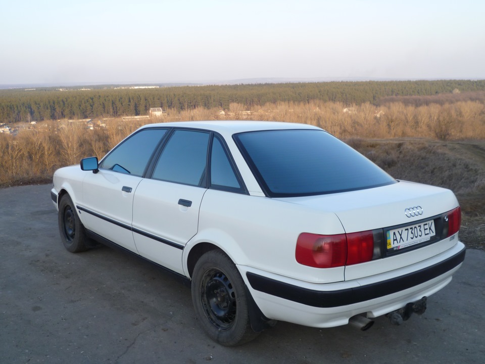Нові фото на природі 2