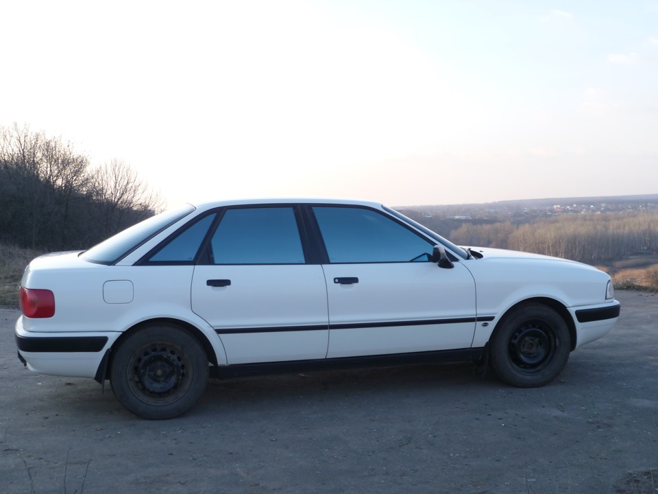Нові фото на природі 3