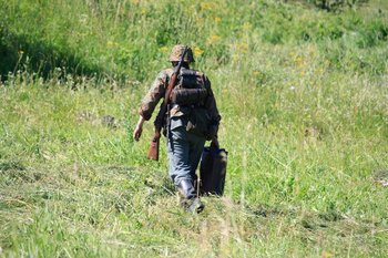 Нові пригоди електроніка) 5