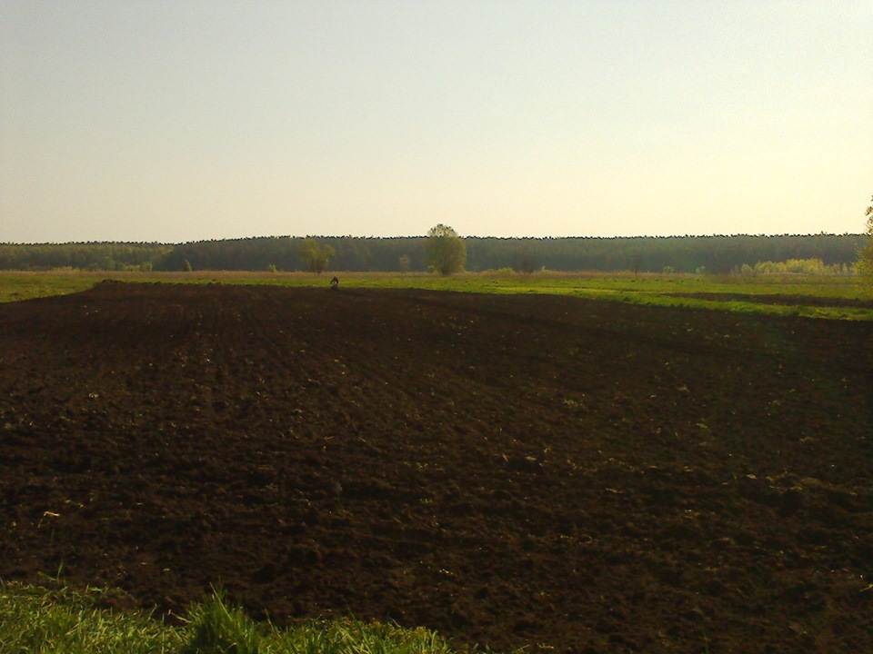 Травневі 4