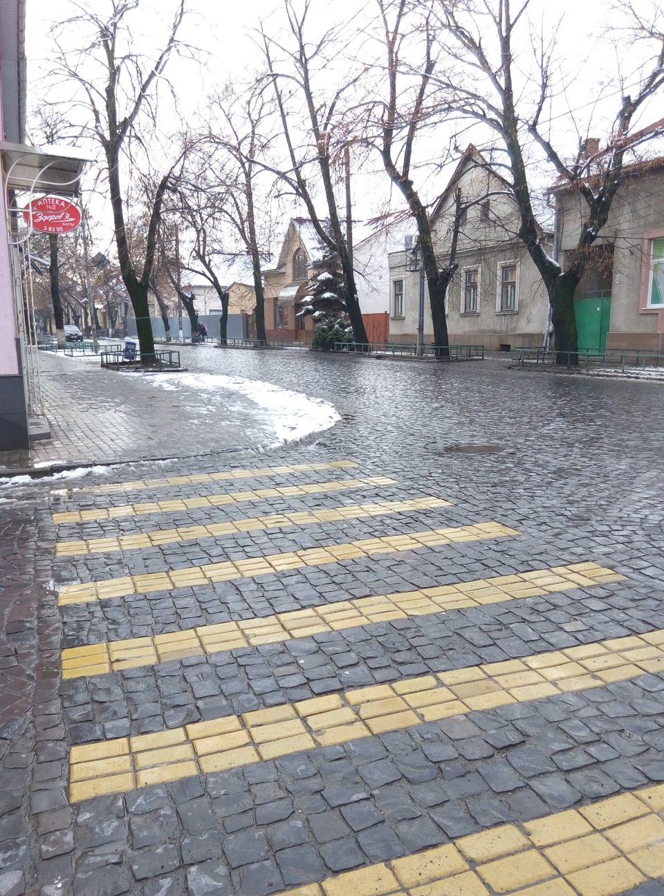 Сиро-Винний тур Закарпаттям 4