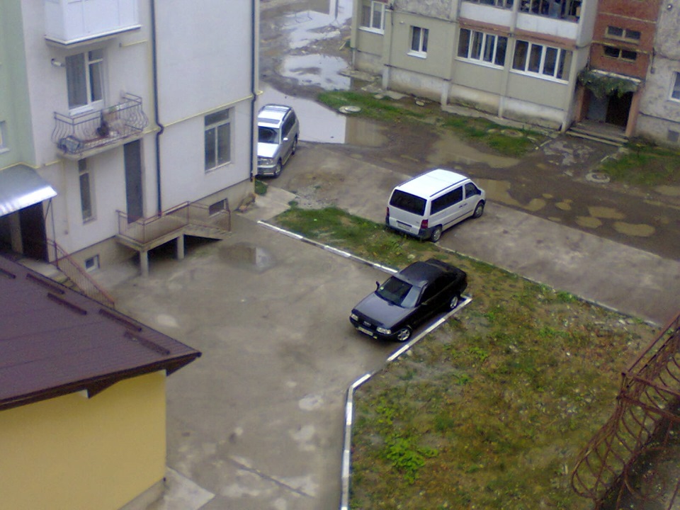 чорна між світлими 1