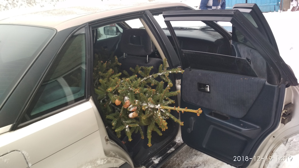 Не планована купівля ялинки))))) 2