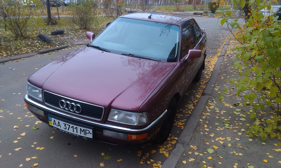Мийка двигуна та всього авто 2