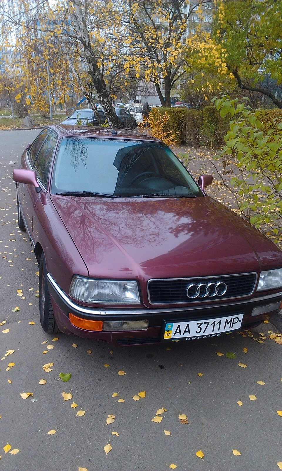 Мийка двигуна та всього авто