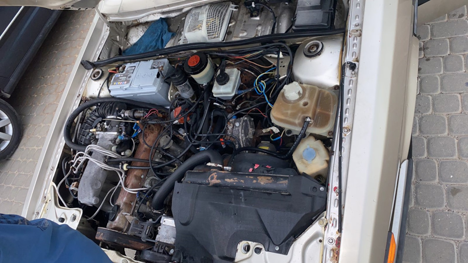 Донор чи не донор 3