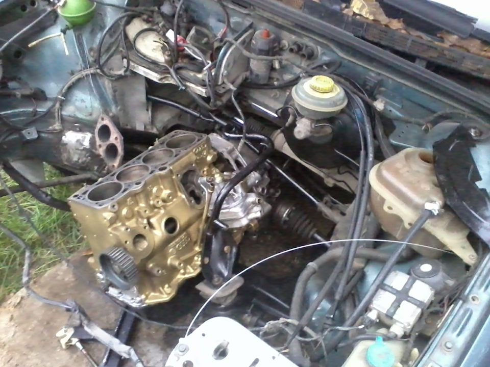 Пень на своєму місці! 1