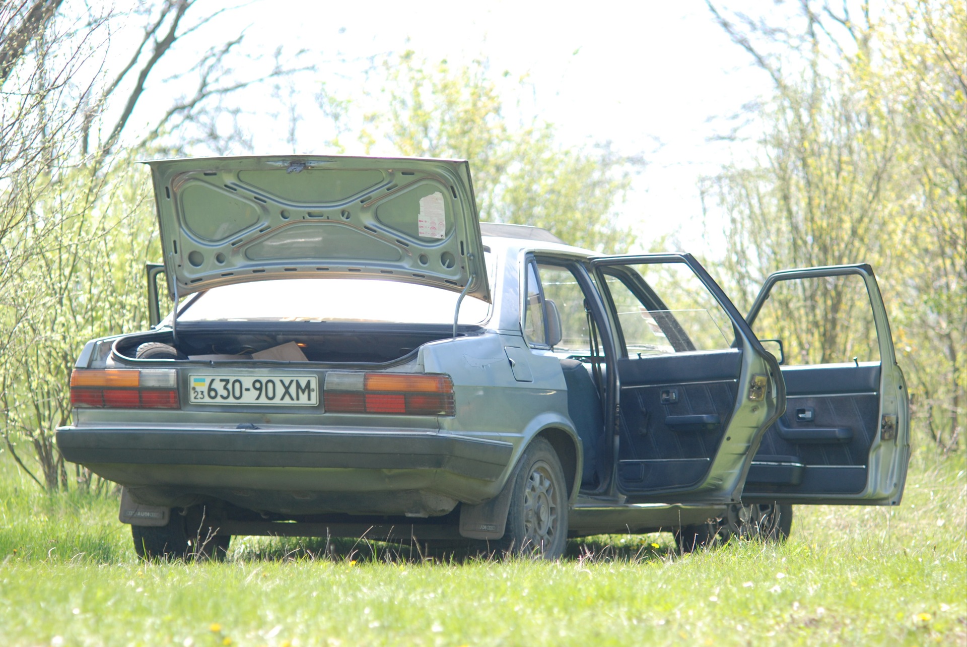 AUDI на Маївці 2