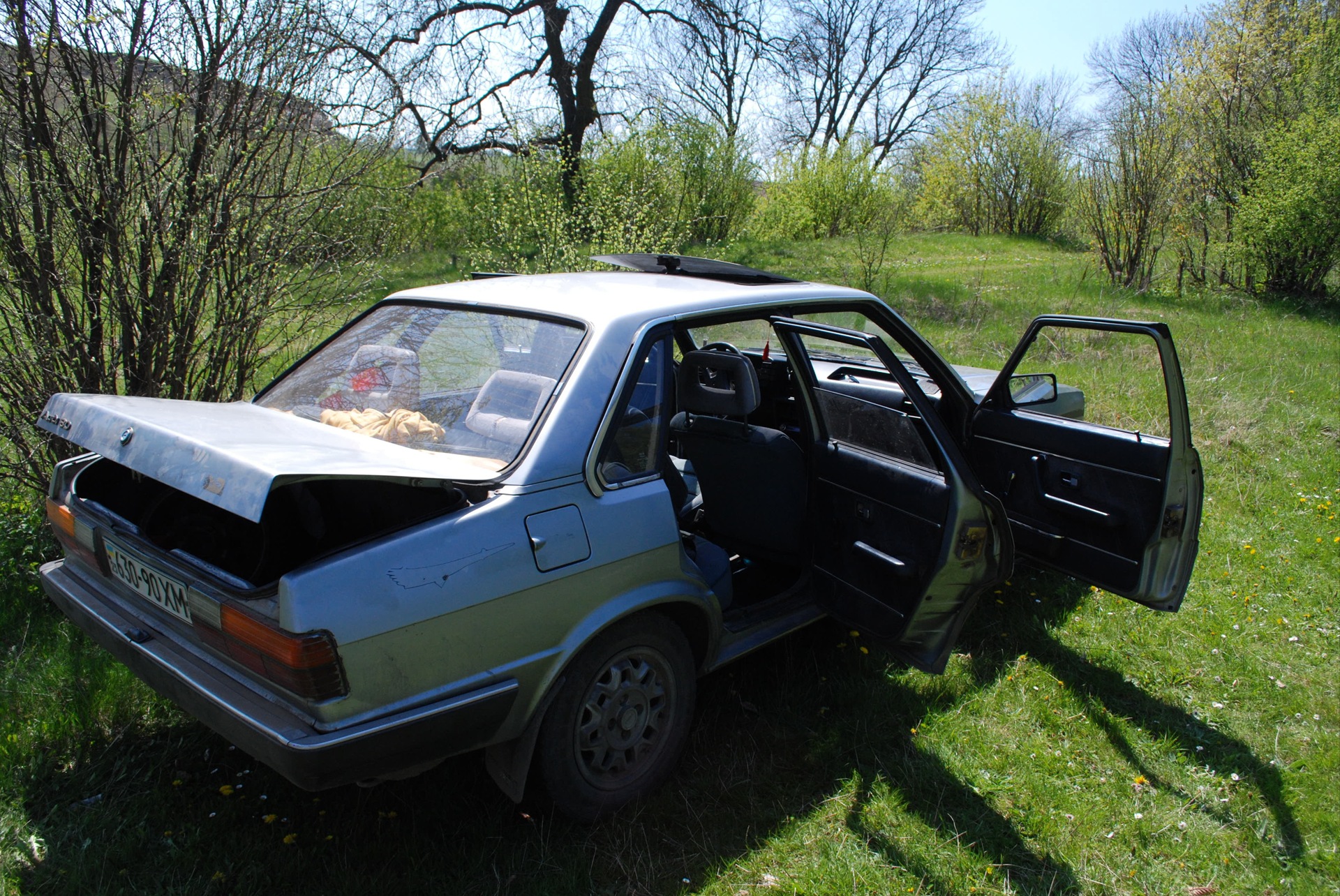 AUDI на Маївці 1