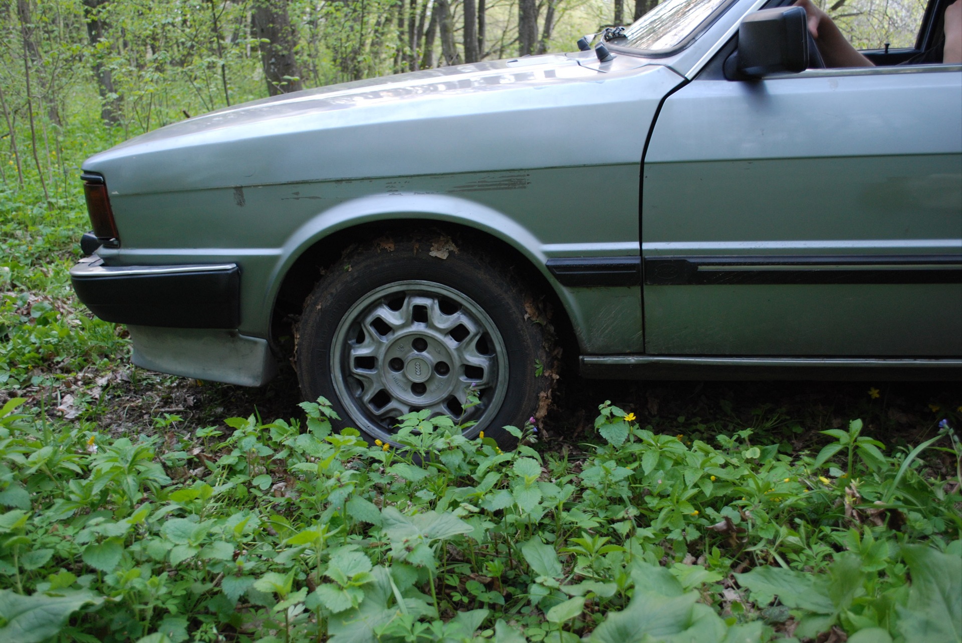 AUDI на природі. 4