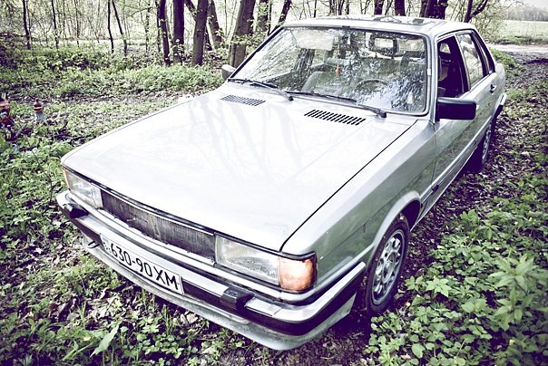 AUDI на природі. 1