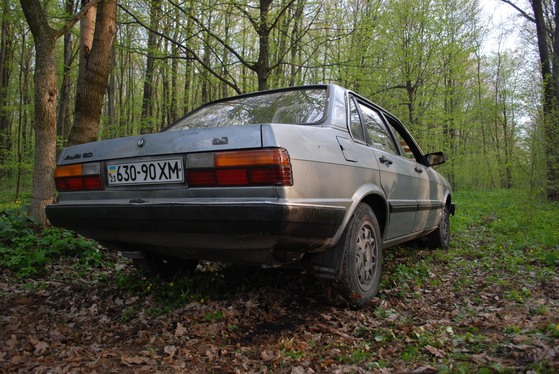 AUDI на природі. 5