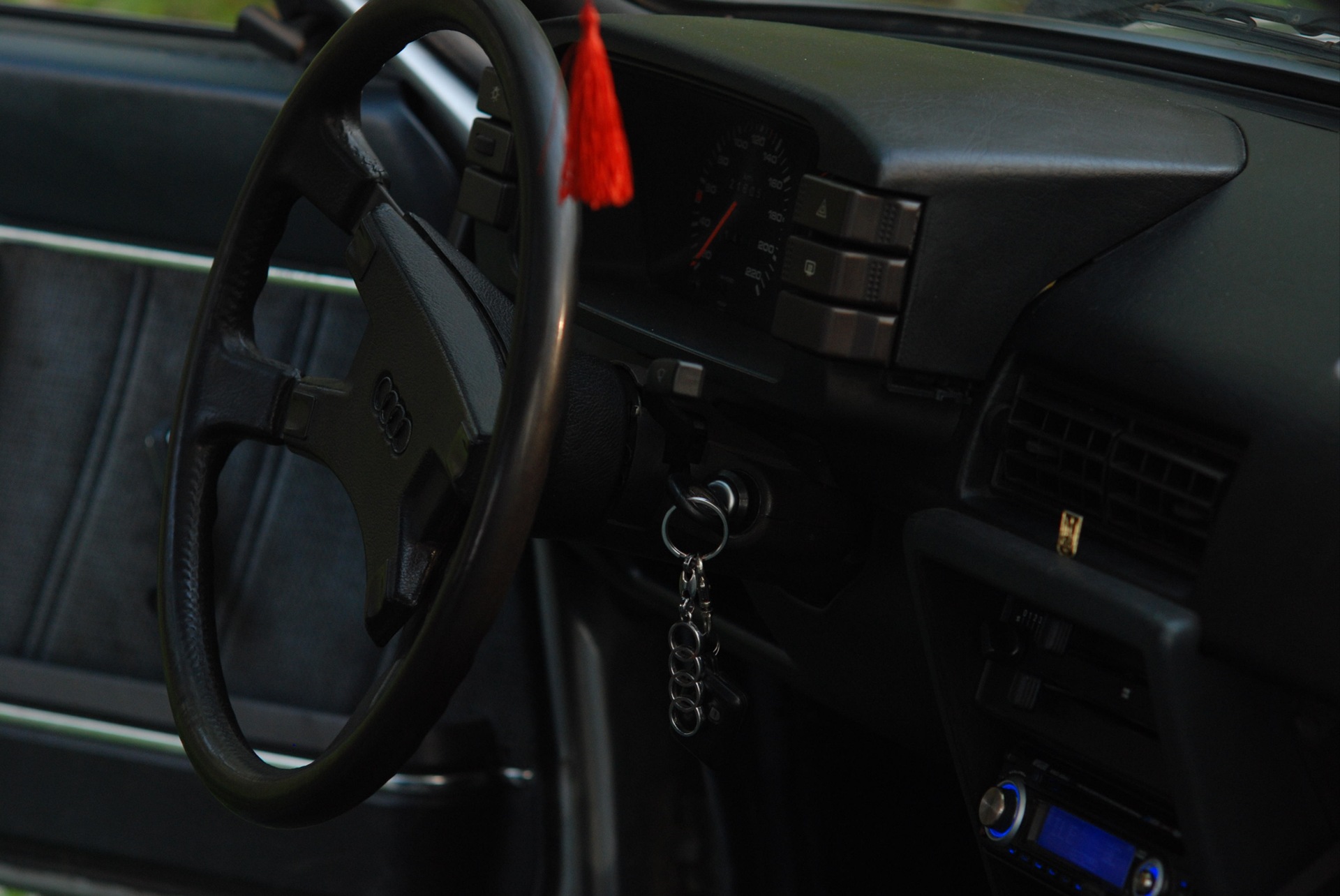 AUDI на природі. 3