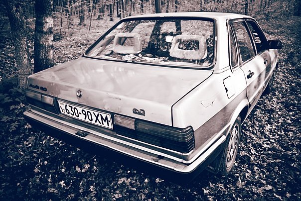 AUDI на природі. 2