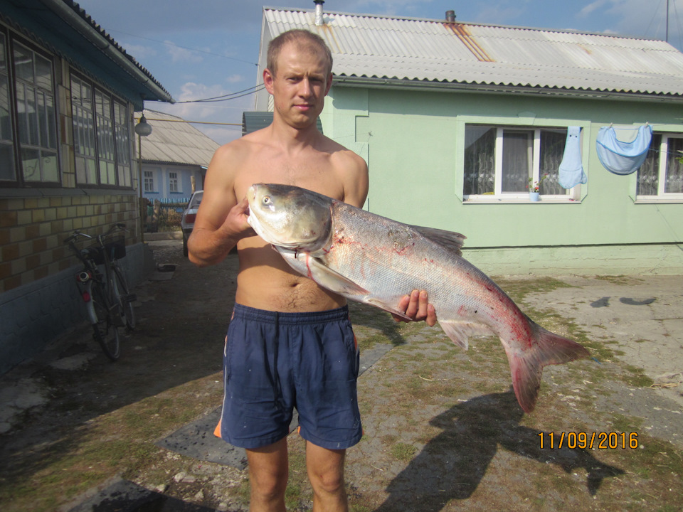 порибачив 2 4