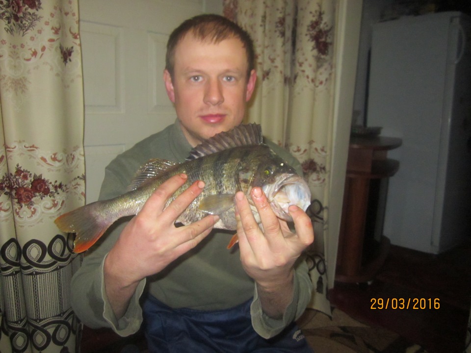 побачив 2