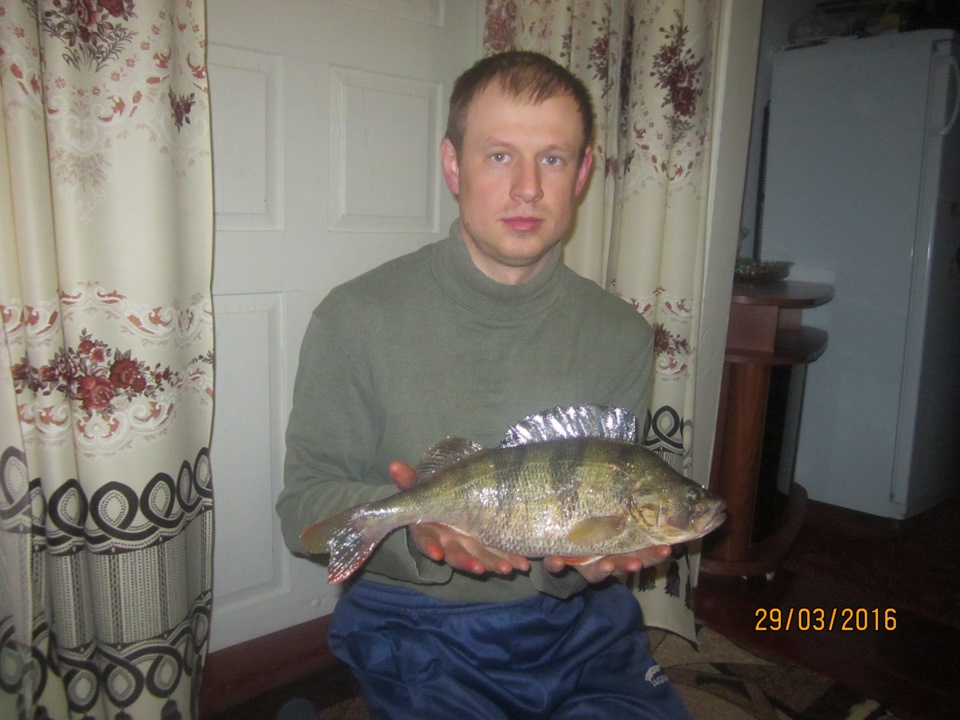 побачив 3