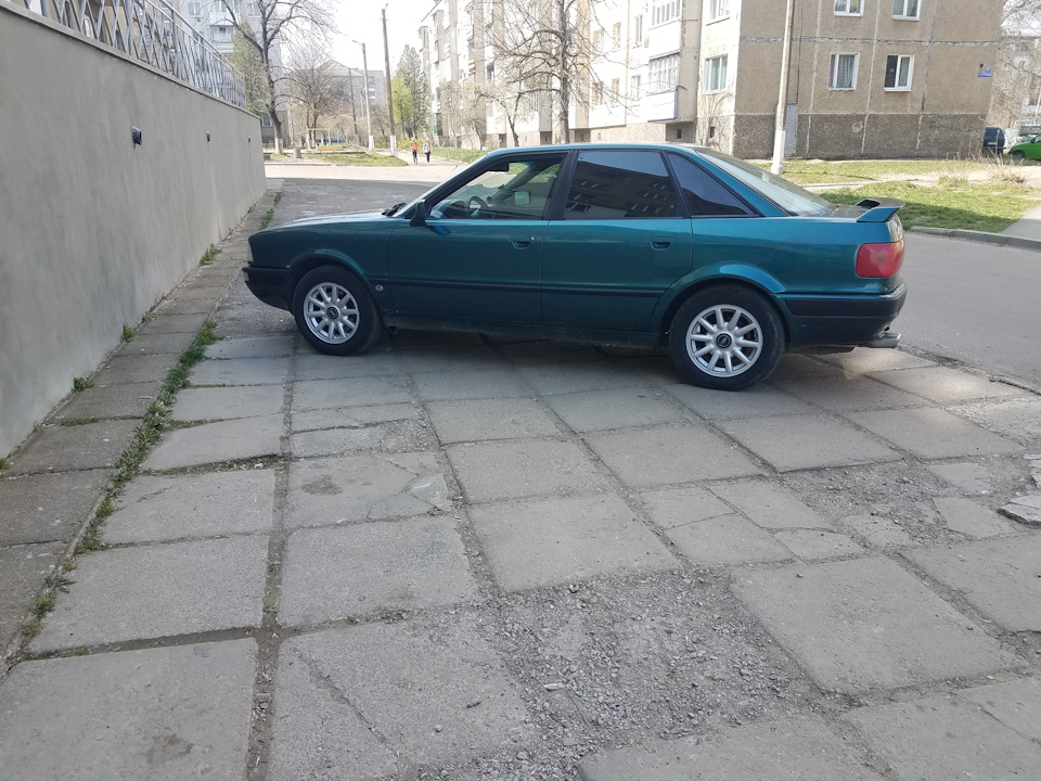 Ромашки підїхали 1