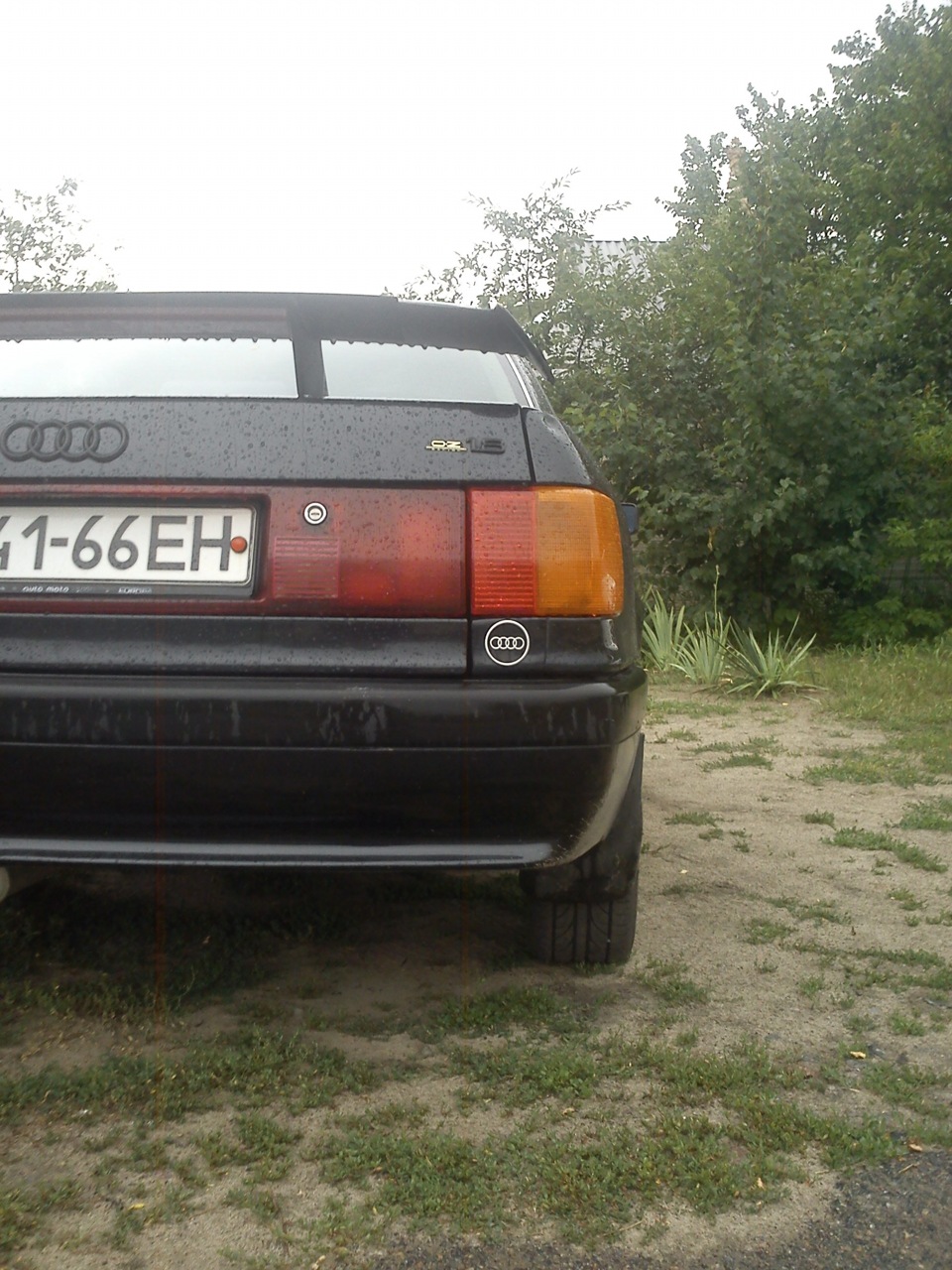 Несколько фоток… 5