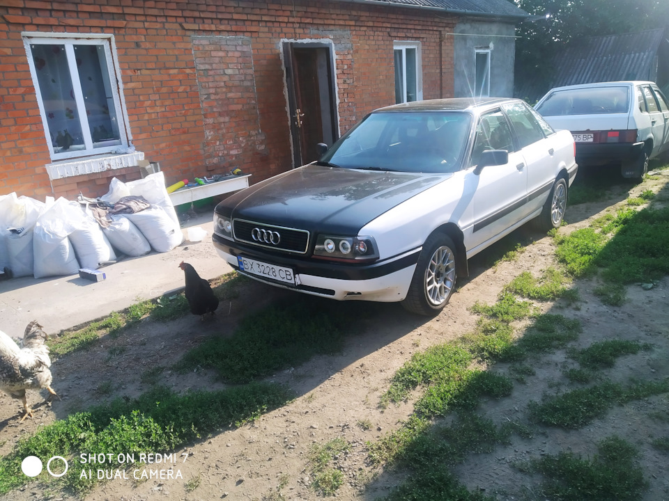 Як зараз відчуває биток 1